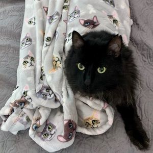 Meet your Posher, PrettynGritty